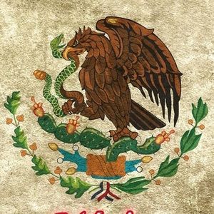 Meet your Posher, Pablo